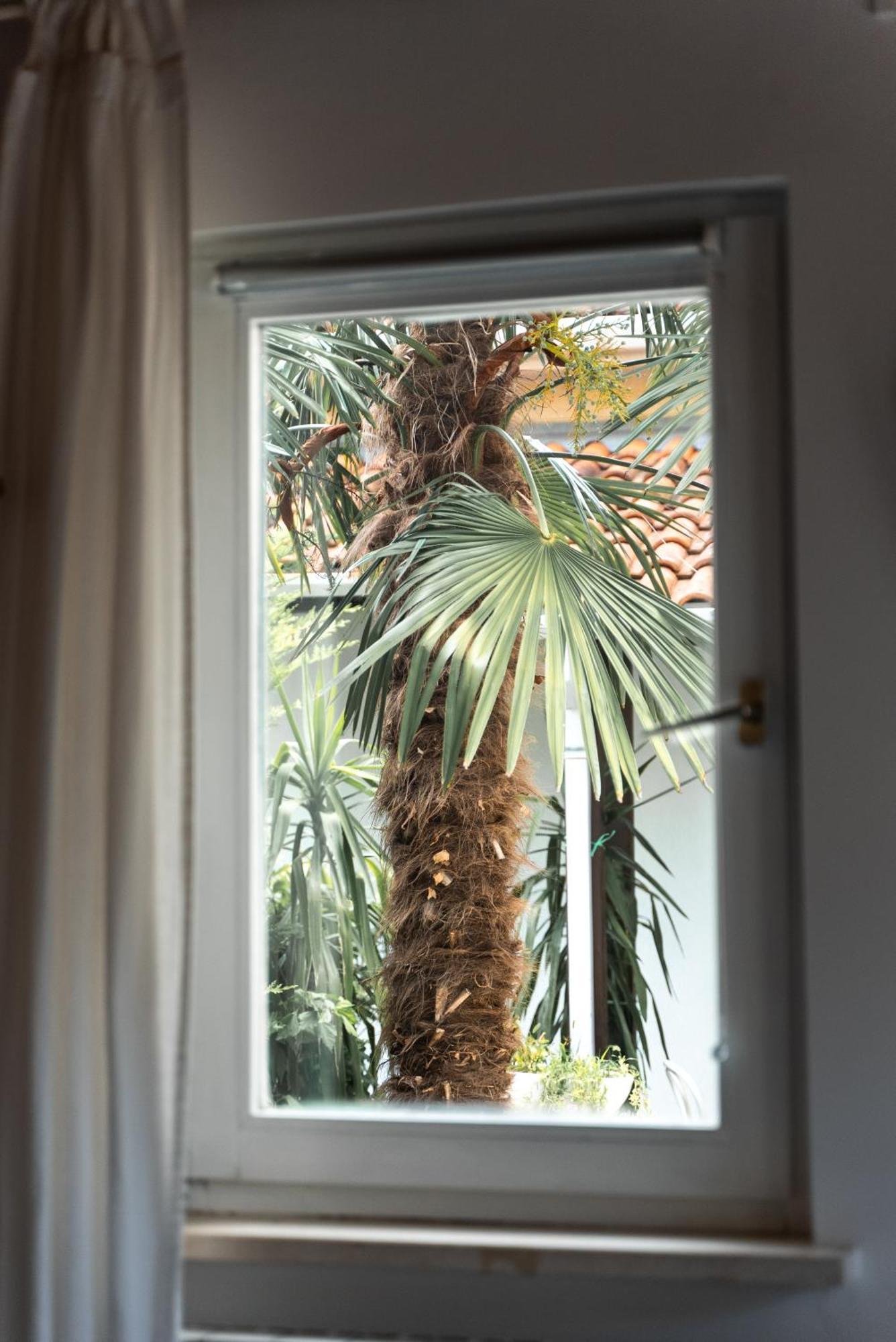 New Cosy Apartments With Private Parking Opatija Zewnętrze zdjęcie
